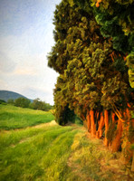Travel